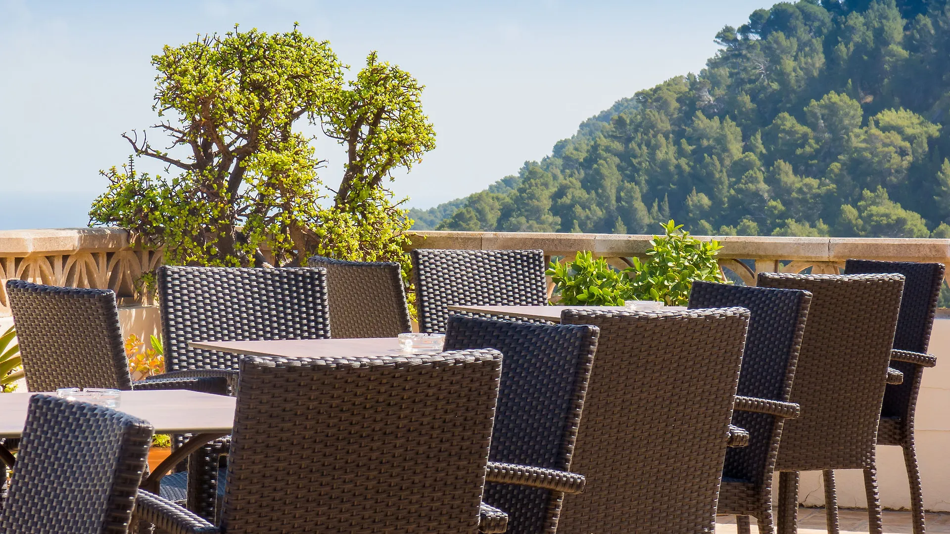 ** Vendégház Hostal Sa Baronia Banyalbufar Spanyolország